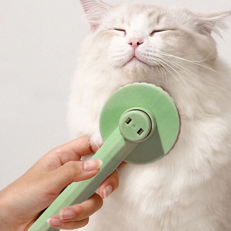 Brosse pour chat poil long verte procurant un massage relaxant au chat - Toutou Love