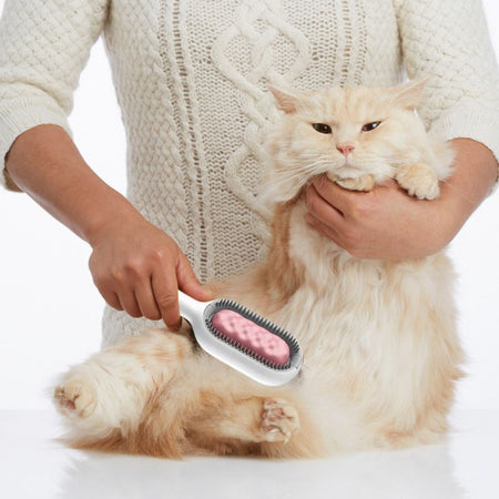Brosse Pour Poils De Chat utilisée pour enlever les poils morts sur un chat à poils longs - Toutou Love
