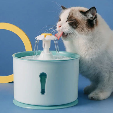 Chat blanc buvant à une fontaine pour chat design fleur dans un décor pastel - Toutou Love