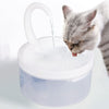 Chat gris qui boit à la Fontaine à eau pour chat avec jet central et purification par filtre au charbon actif - Toutou Love