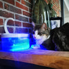 Chat allongé à côté d’une fontaine à eau pour chat illuminée en bleu, avec filtre actif - Toutou Love