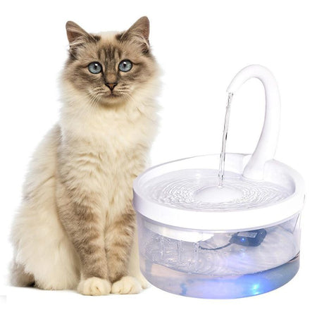 Fontaine à eau pour chat au design arrondi avec un chat assis à côté de la fontaine - Toutou Love