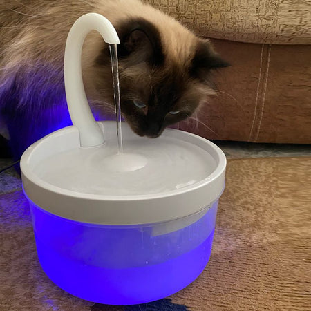 Chat buvant dans une fontaine à eau pour chat avec lumière LED et système de filtration actif - Toutou Love