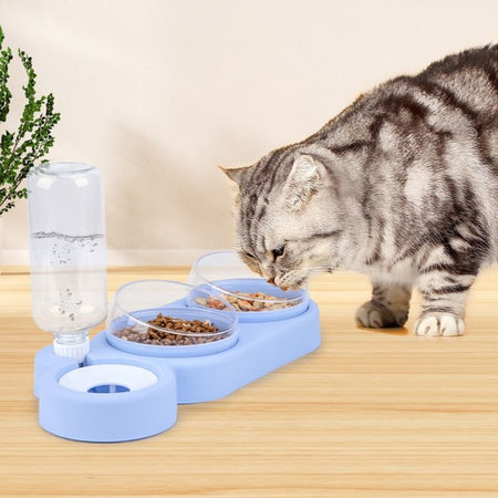 Chat mangeant dans une gamelle pour chat surélevée bleue - Toutou Love