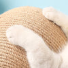 Zoom sur les pattes d’un chat accrochées à la corde de sisal du griffoir - Toutou Love