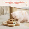 Chat qui renifle des balles à herbe à chat insérées dans la tour griffoir en sisal - Toutou Love
