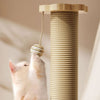Chaton qui joue avec une balle suspendue en sisal sur une tour griffoir - Toutou Love