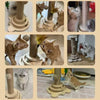 Mosaïque de chats jouant avec leur tour griffoir en sisal dans différents intérieurs - Toutou Love