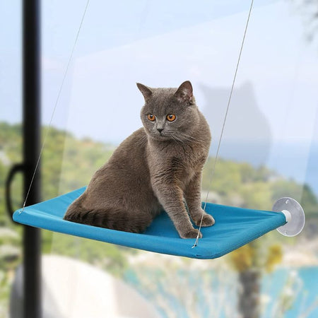 Hamac de Fenêtre Pour Chat en bleu turquoise avec un chat gris assis en équilibre - Toutou Love