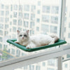 Hamac de Fenêtre Pour Chat en vert foncé fixé à la vitre avec un chat blanc - Toutou Love