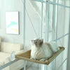Hamac de Fenêtre Pour Chat couleur sable avec un chat beige regardant vers le haut - Toutou Love