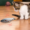 Chaton intrigué par un jeu poisson pour chat qui frétille - Toutou Love
