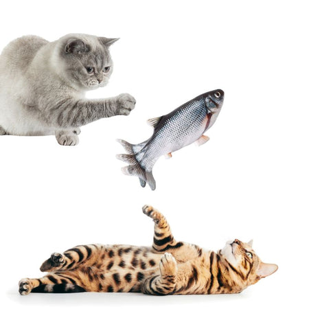 Chats jouant avec un jouet poisson pour chat flottant en l’air - Toutou Love