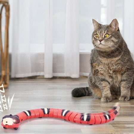 Chat méfiant face à un jouet serpent pour chat équipé de capteurs - Toutou Love