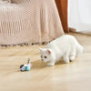 Chat blanc explorant le Jouet Souris pour chat TurboMouse, moment d’amusement interactif - Toutou Love