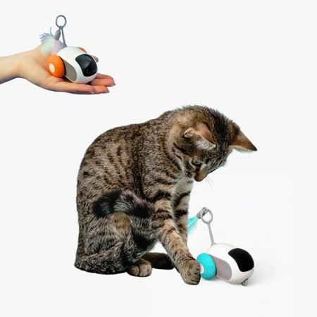 Chat tigré curieux face au TurboMouse bleu, jouet souris pour chat aux roues lumineuses - Toutou Love