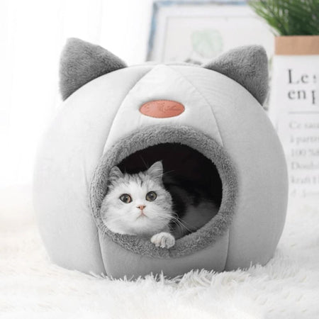 Chat qui observe depuis l'entrée de la Niche Chat Intérieur Igloo Chat sur tapis blanc - Toutou Love