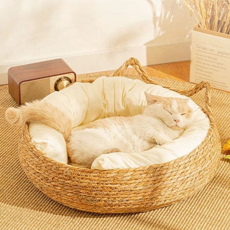 Chat blanc endormi sur un coussin crème dans un panier osier pour chat - Toutou Love