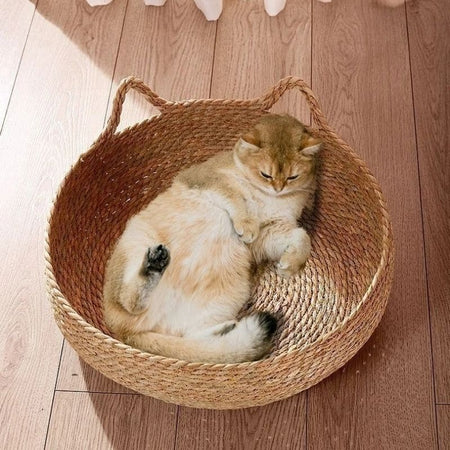 Chat beige couché dans un panier osier pour chat sur un sol en bois clair - Toutou Love