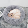 Panier Pour Chat gris clair avec un chat crème endormi en position recroquevillée - Toutou Love