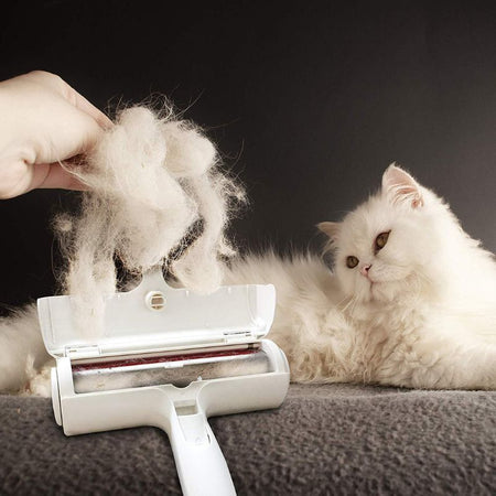 Gros plan sur le Rouleau Poils De Chat retirant une grande quantité de poils de chat - Toutou Love