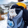 Chat aux yeux bleus dans un sac à dos pour chat gris en pleine nature - Toutou Love