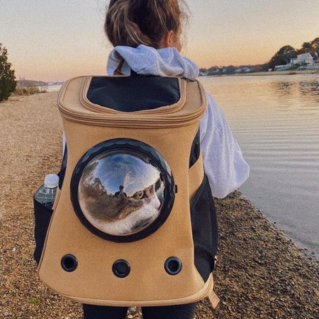 Sac à dos pour chat beige vu de dos sur une promenade au bord de l’eau - Toutou Love