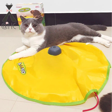 Chat couché sur un Tapis De Jeu Pour Chat en attendant l'action - Toutou Love